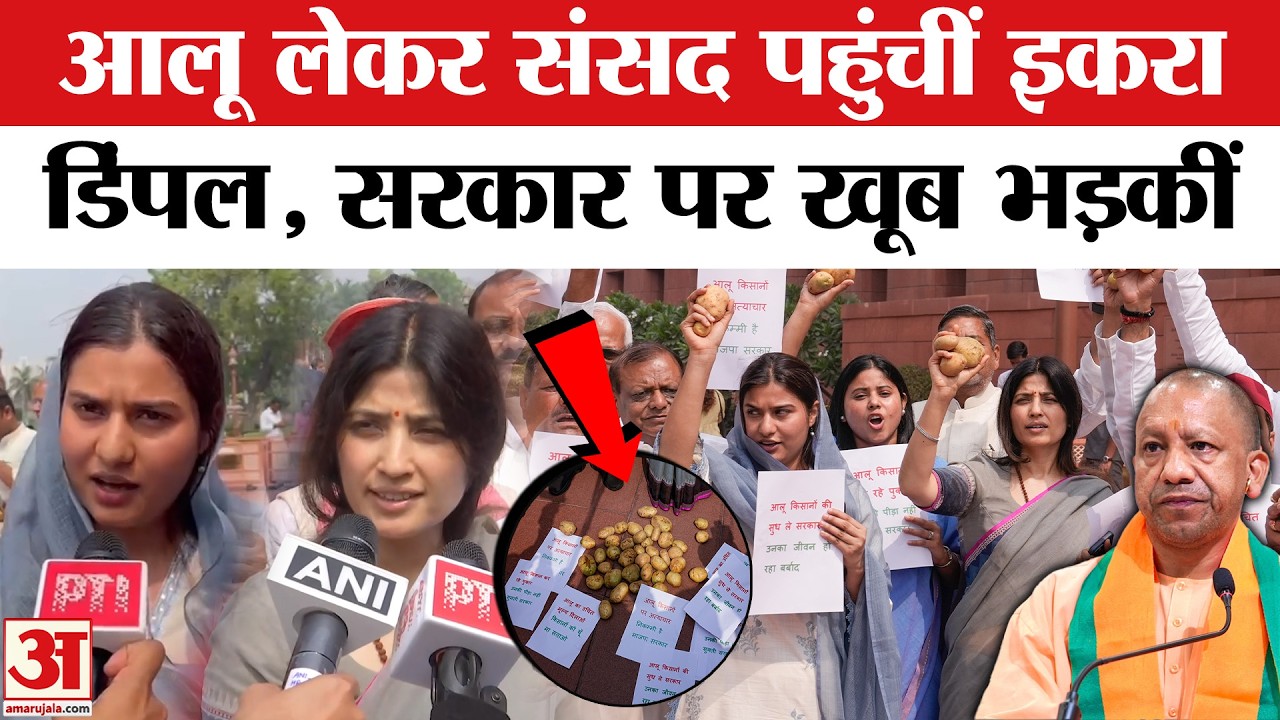 Samajwadi Party का ये कैसा विरोध प्रदर्शन? | Dimple Yadav | Iqra Hasan | Dharmendra Yadav|Amar Ujala