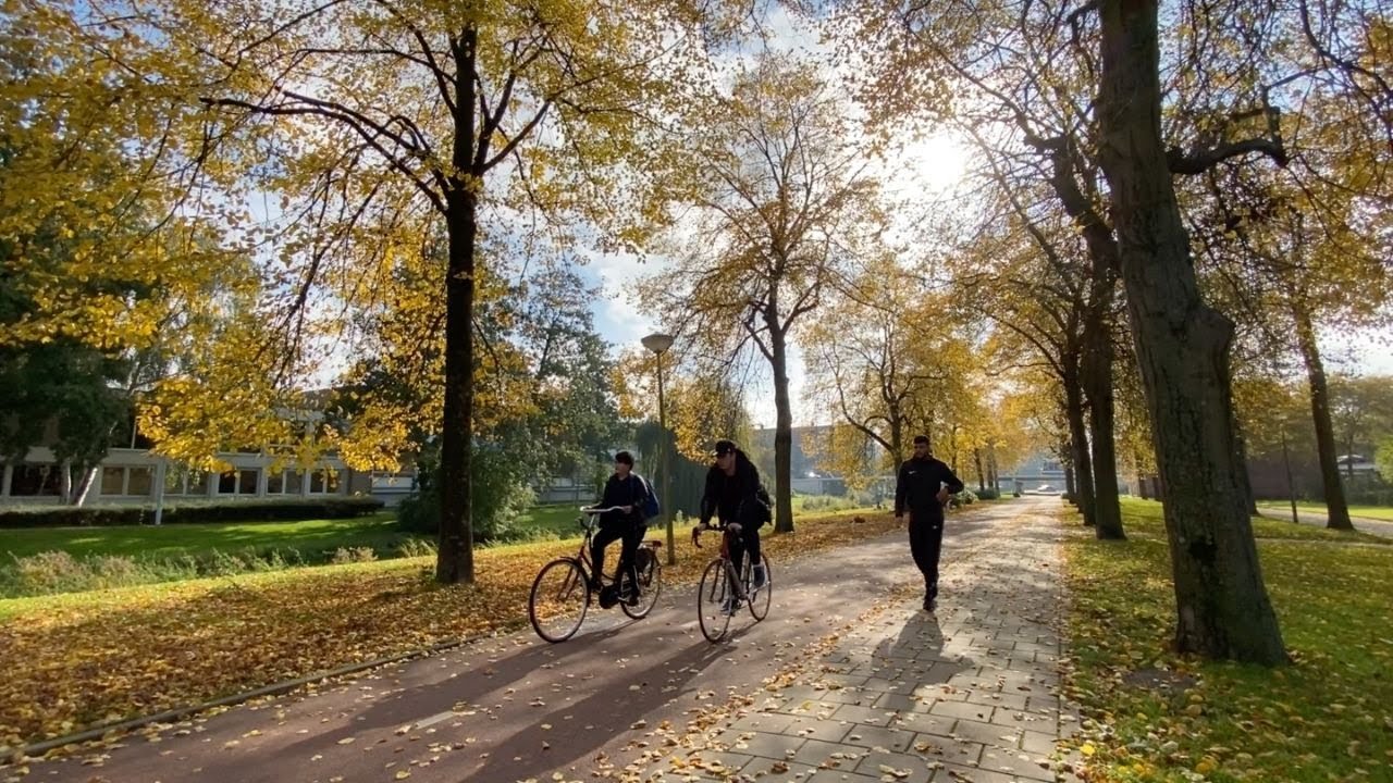 Streets of Amsterdam | Amsterdam Nieuw-West in Autumn, from Gerbrandypark to Sloterpark
