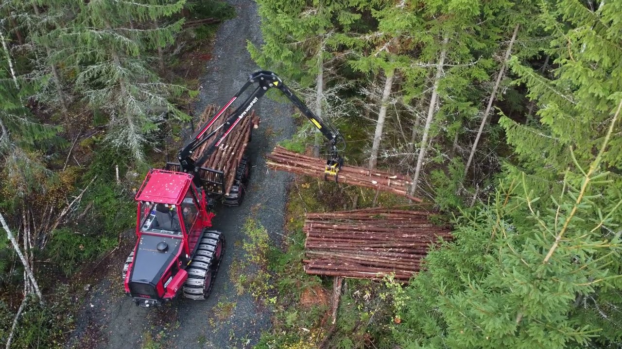 NR.4. TERRI Skotare kör första gallring  den 17 Oktober 2025 .