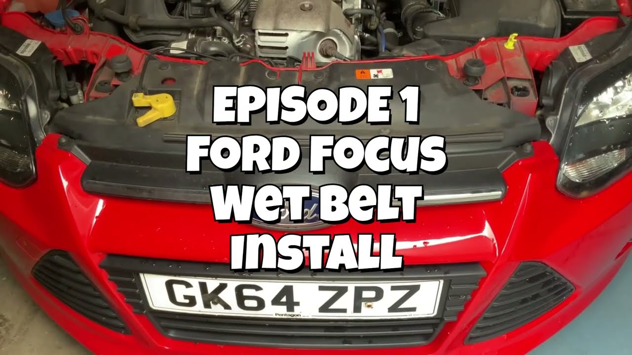 Garage talk with Dale - Ford Focus Wet Belt Install