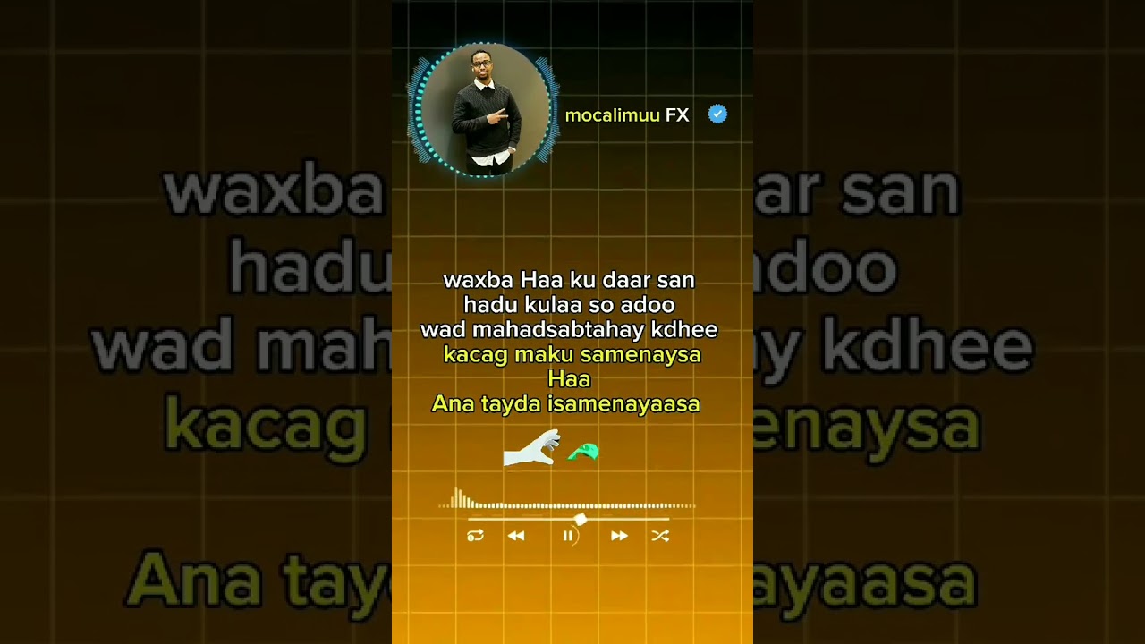 sidee forex ku baran karaa//how to learn forex #money #fx #bookmyforex #forexhumor #urbanforex #f