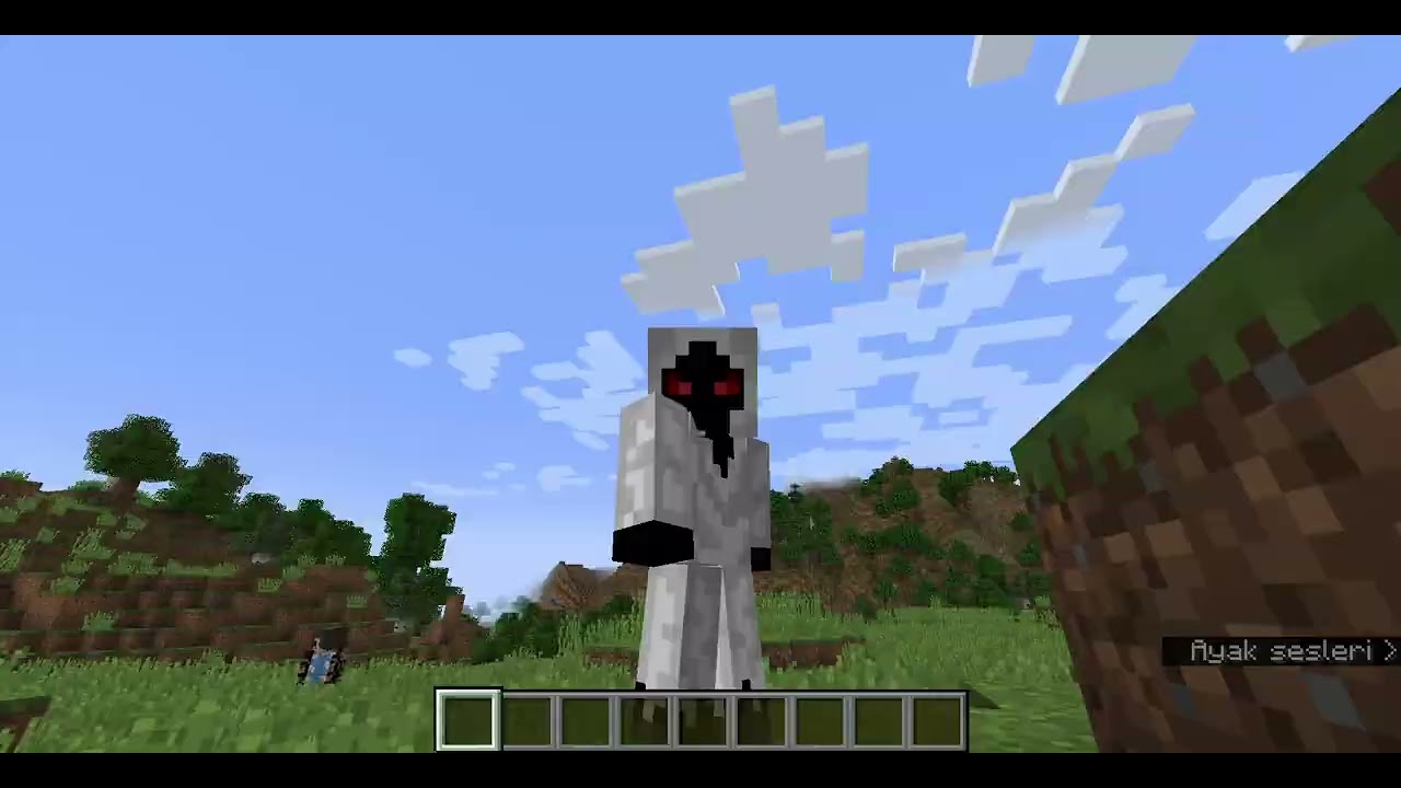 Entiy303 ün minecraft hesabını hackledim @BoraLo #minecraft #entity303