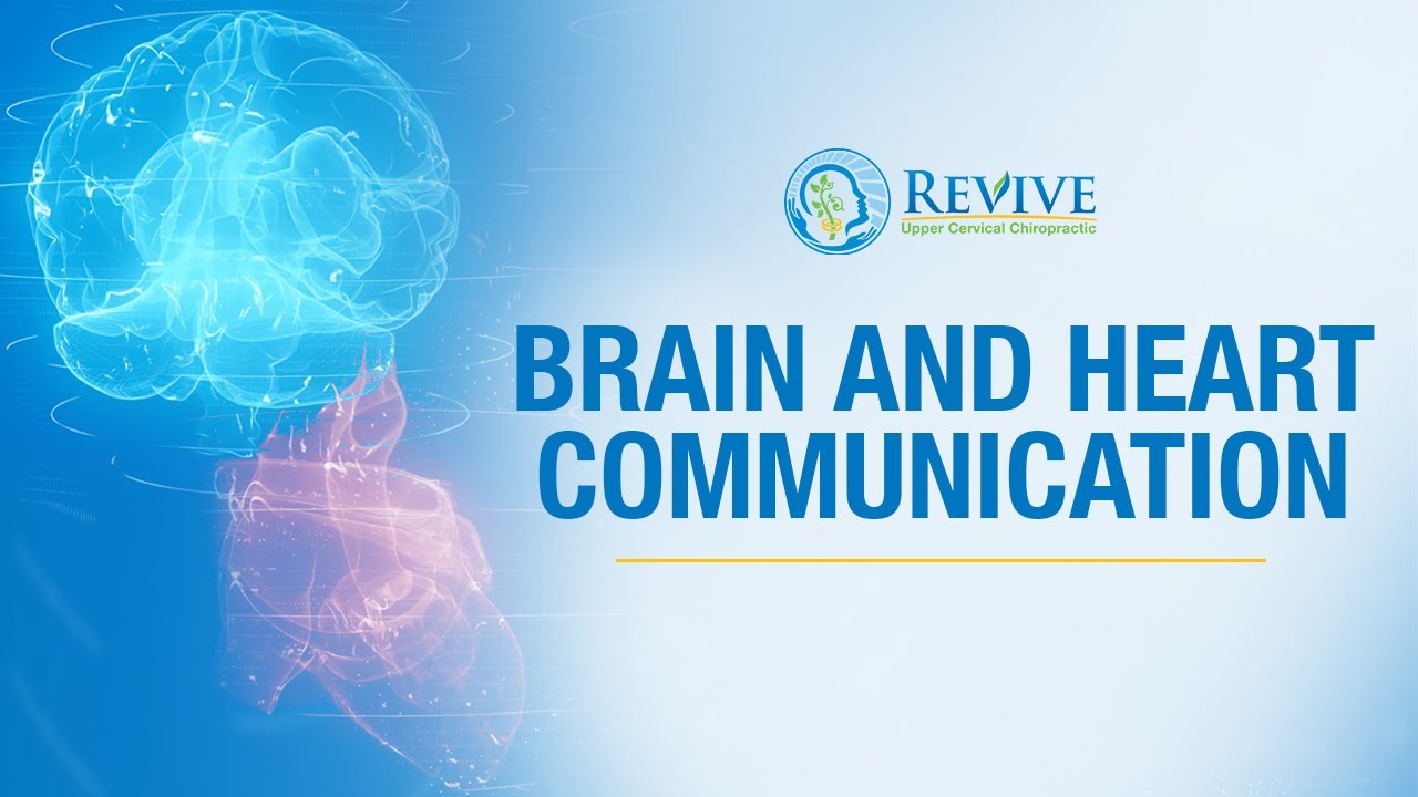 Brain And Heart Communication