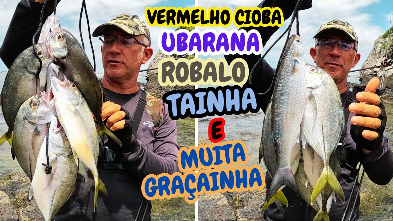 PLUG de MEIA ÁGUA, DOWN SHOT, TEXAS RIG e CAMARÃO PLUG, PESCARIA COSTEIRA COM ISCAS ARTIFICIAIS