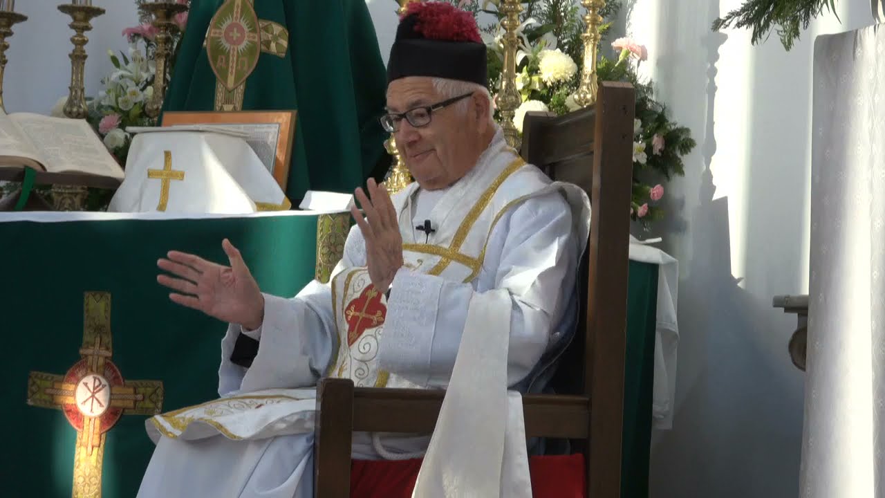 683-¿La Iglesia Santa y pecadora? Imprecisiones históricas, versiones oficiales, tendencias politica