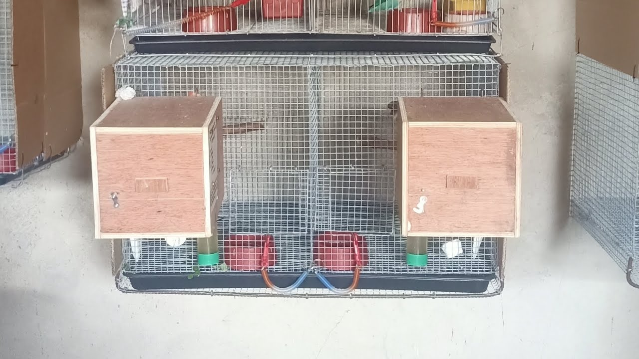 HOW TO MAKE BIRDS NESTBOX SIZE 8X8X10 inches GOOD FOR AFRICAN LOVEBIRDS, PARAKEETS..