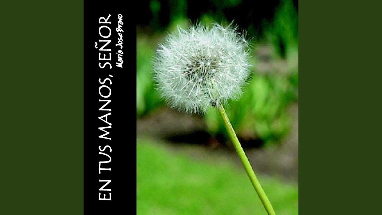 Vuela