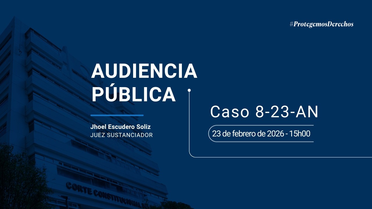 Audiencia Pública Caso 8-23-AN