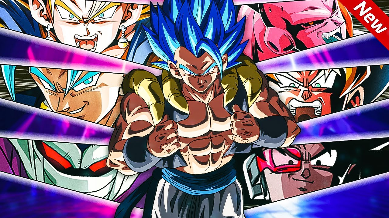 You've Never Seen a Final Trump Card Dokkan LR Team Like This!