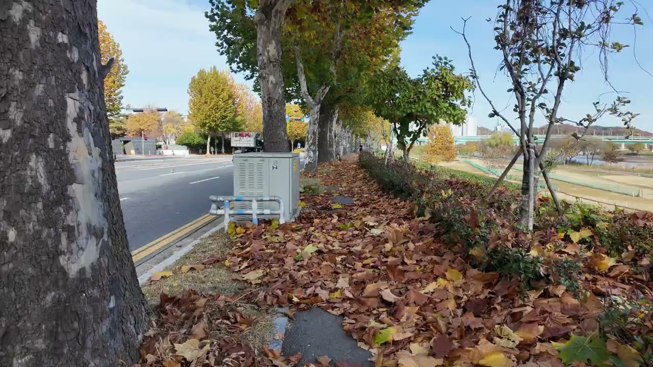 시몬!  너는 좋으냐 , 낙엽 밟는 소리가