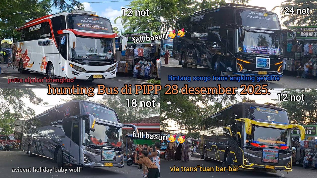 hunting Bus di PIPP 28 desember 2025.full basuri + full artisssssss!!