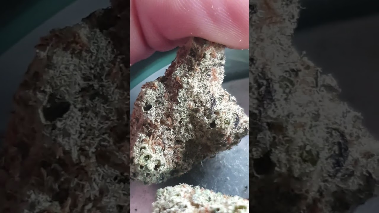 Cannabis Flos All Nations GM 104 Mac Doughnut #Cantourage
