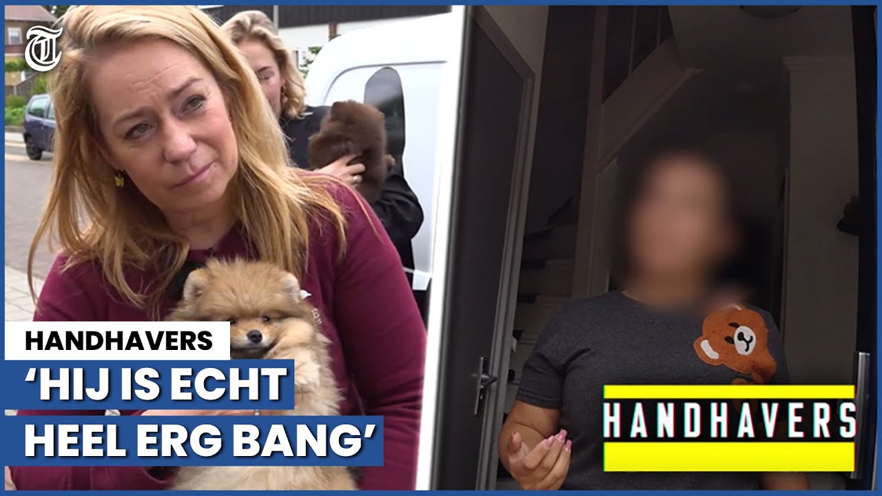 Undercover bij illegale puppyhandel: ‘Hier klopt echt helemaal niks van’