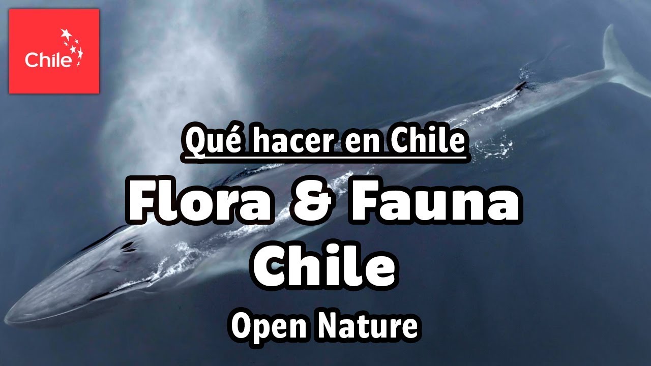Qu&eacute; hacer en Chile: Flora y Fauna Chile - Naturaleza Abierta