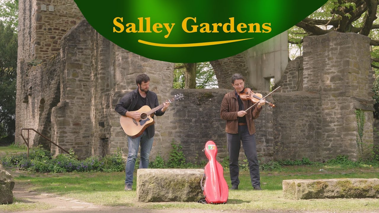 Down by the Salley Gardens - Sally Gardens Instrumental