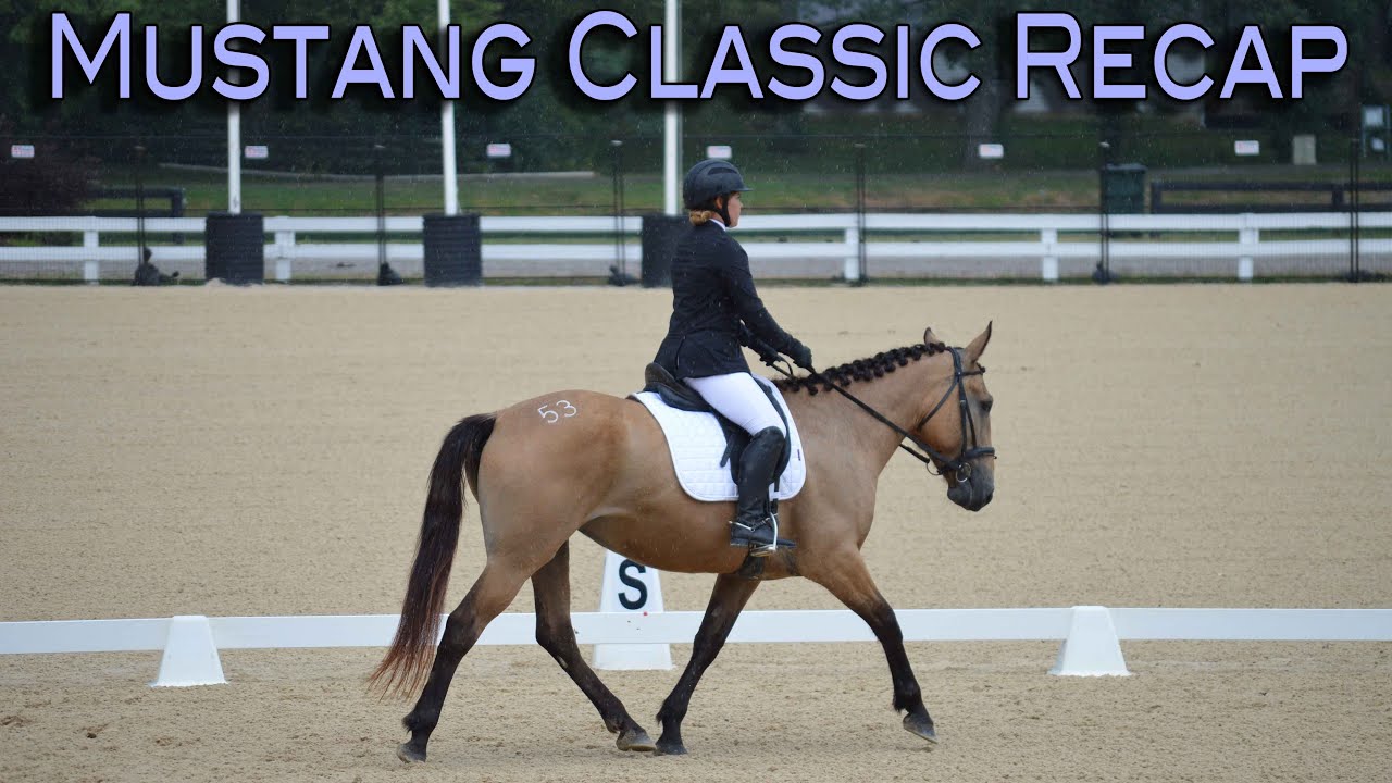 Mustang Classic Recap!