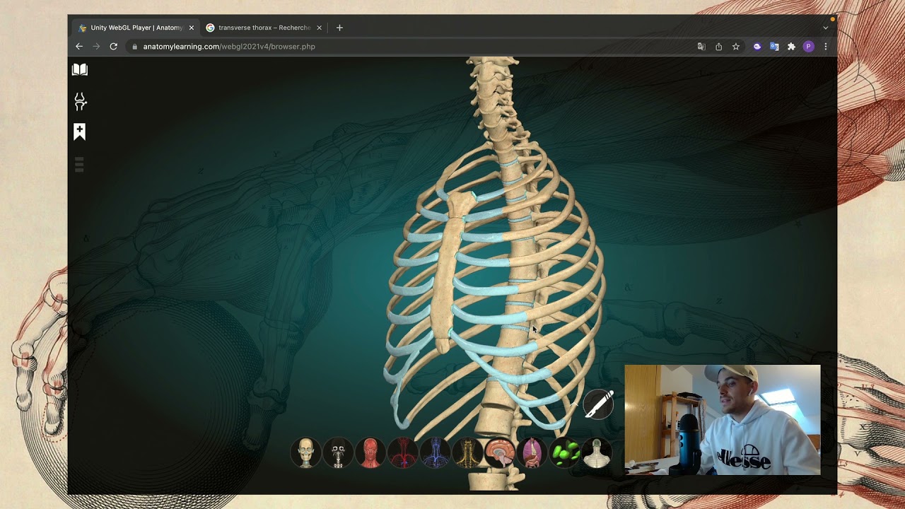 Ostéologie du STERNUM