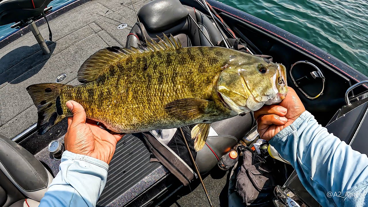 EPIC DAY on Lake St. Clair: First time in a bass boat!!!