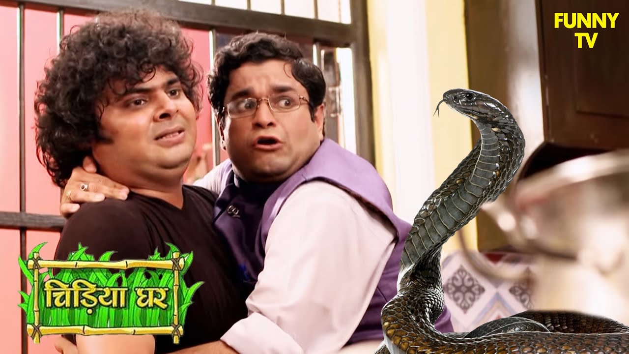 चिड़ियाघर में नागिन का खौफ | Chidiya Ghar | Funny Video | Funny