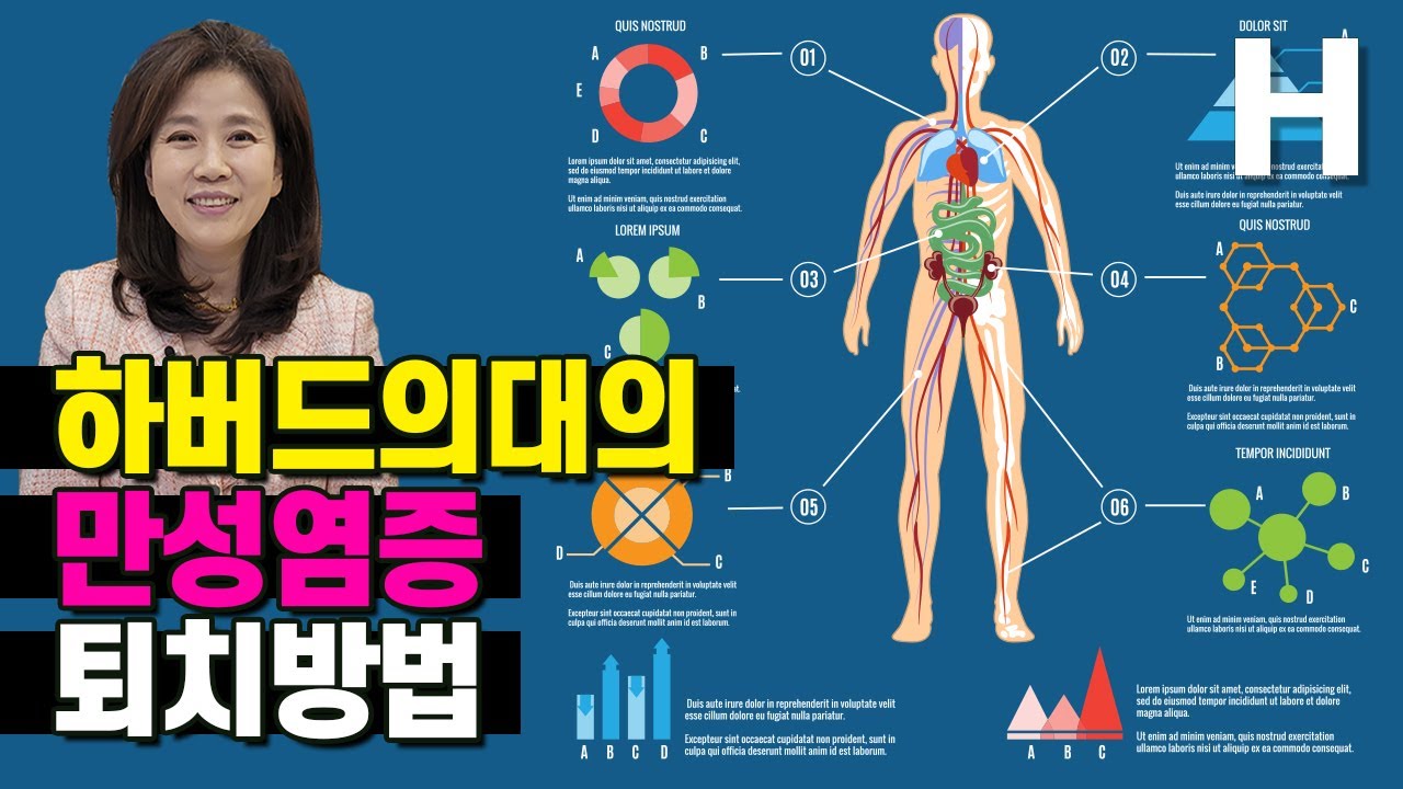 하버드 의대가 밝힌 만성염증 없애는 음식! 과학적으로 검증된 만성염증 퇴치법!