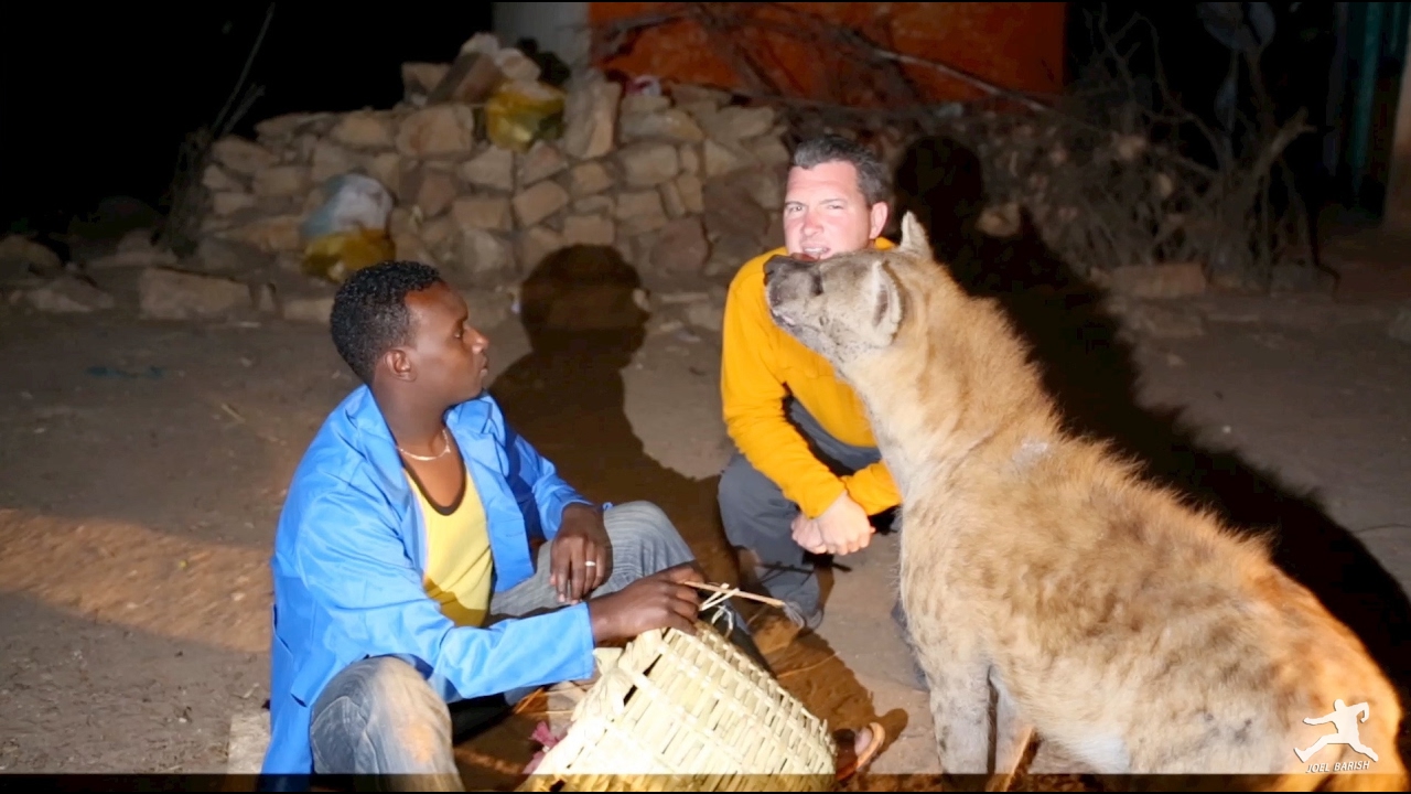 Ethiopia: Harar & Dire Dawa