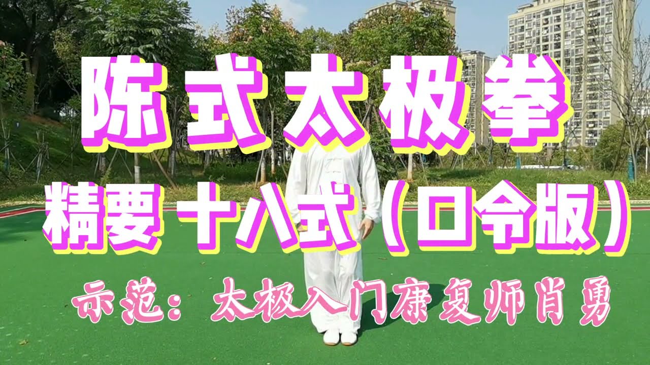 陈式太极拳精要十八式精演版，动作规范，劲力饱满，入门好范本