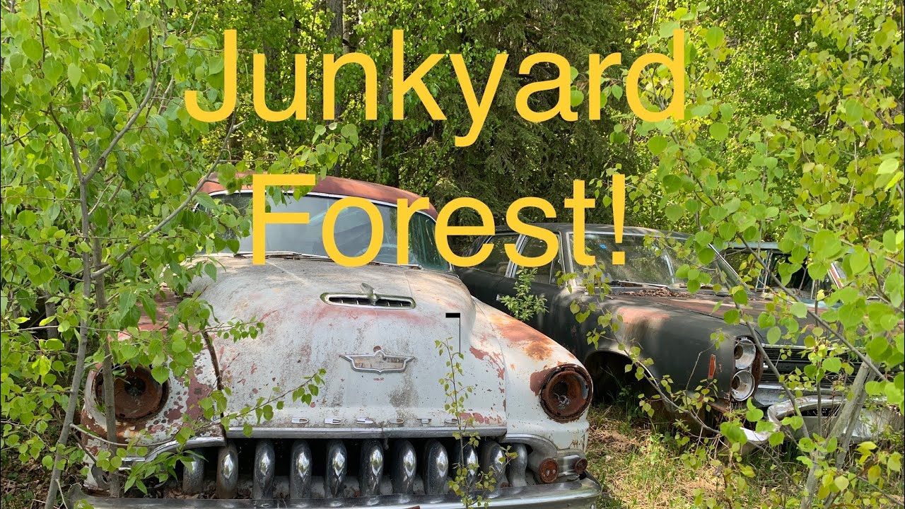 Exploring a country junkyard full of classic cars! I search for a new ride.
