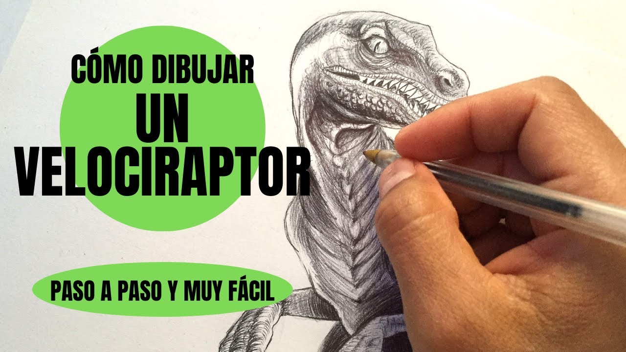 te explico Cómo Dibujar Un Velociraptor realista Paso a Paso