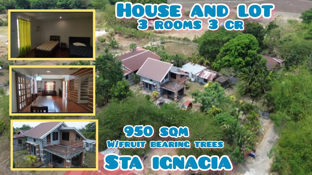 Lot#630 House and lot near school, w/fruit bearing trees, near school 950sqm 3.5M all in