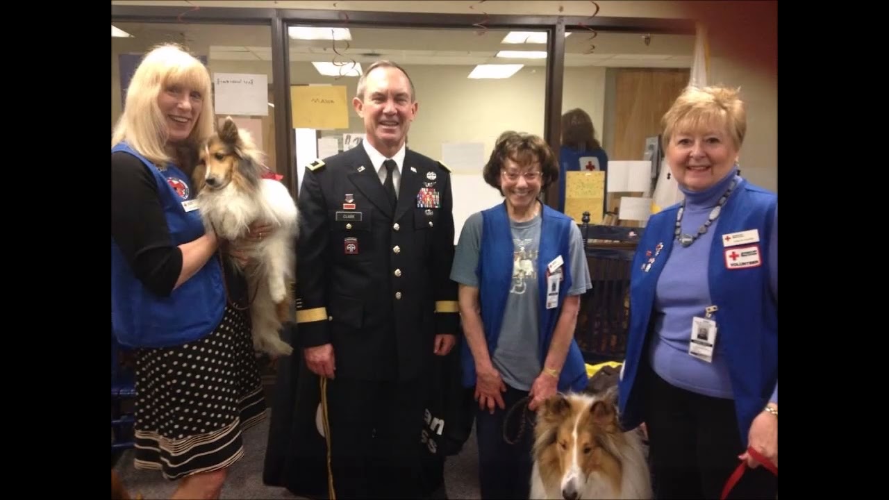 Milas Beam Me Up Mr. Scott 2018 Shining Star Award- Collie Club of America
