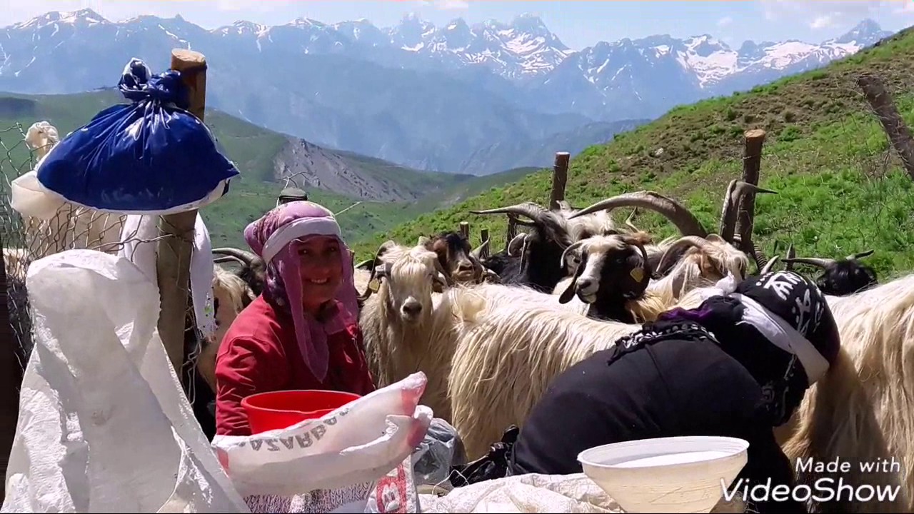 HAKKARİ KAYMAKLI KÖYÜ