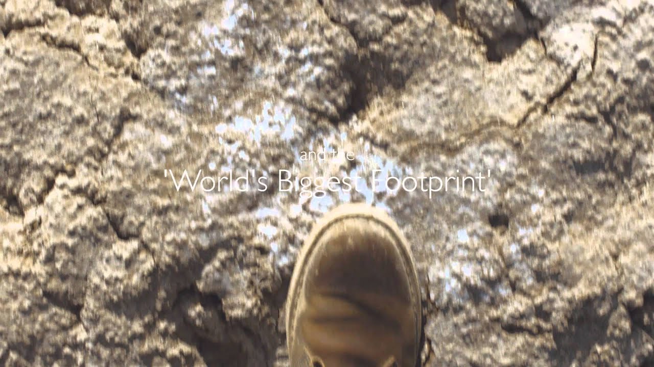 THE ORIGINAL DESERT BOOT . BORN IN THE DESERT . CAIRO 1949