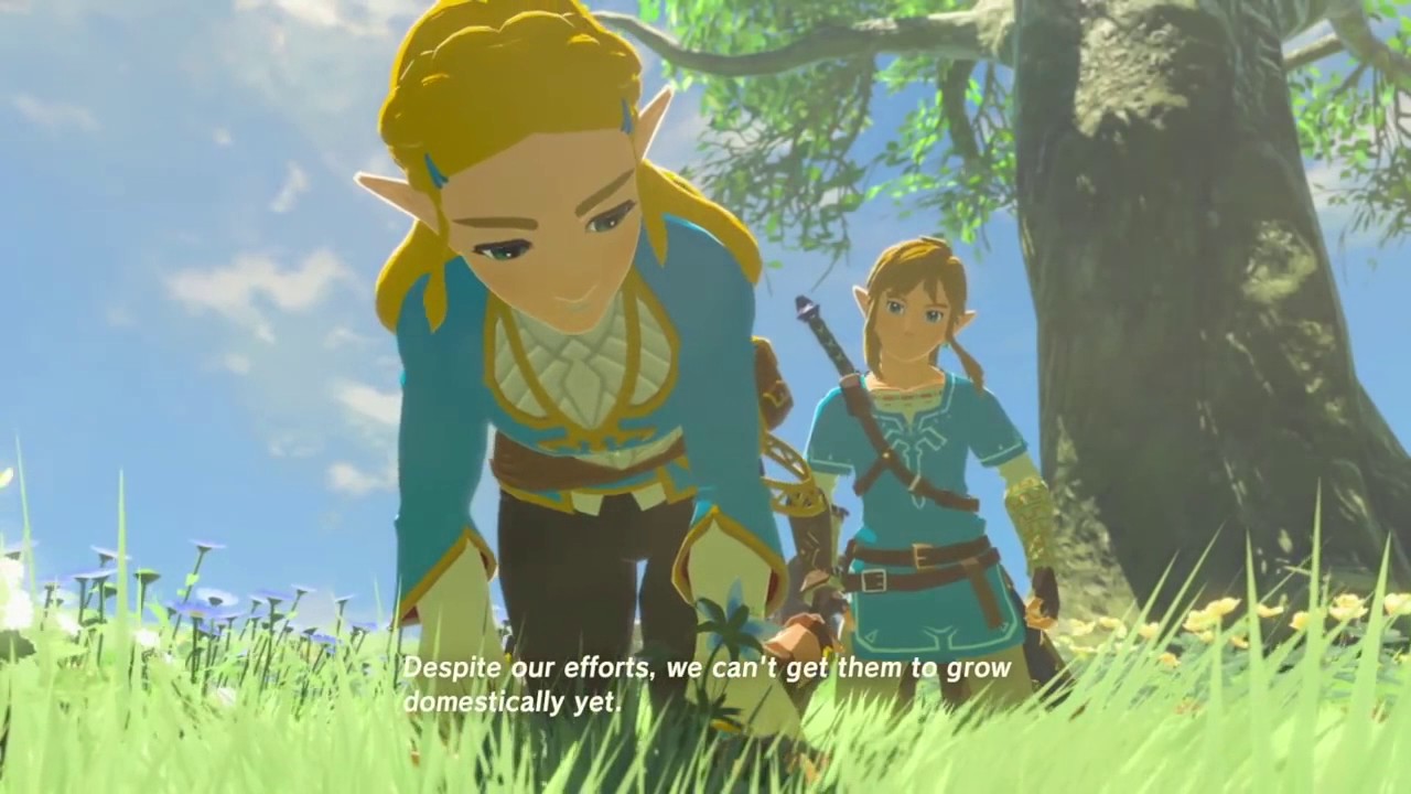 Breath Of The Wild-Battlefield