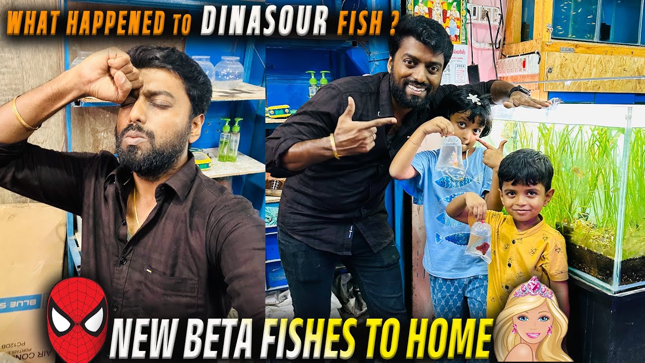 Dinosaur Fish 😥 New Spider-Man & Barbie BETA Fish to HOME !!