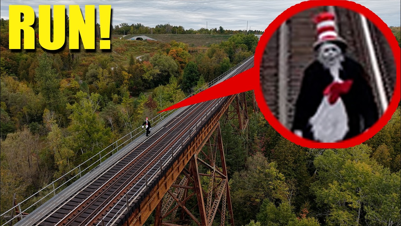 Drone catches REAL Cat in the Hat on Haunted Bridge (We found him!!)