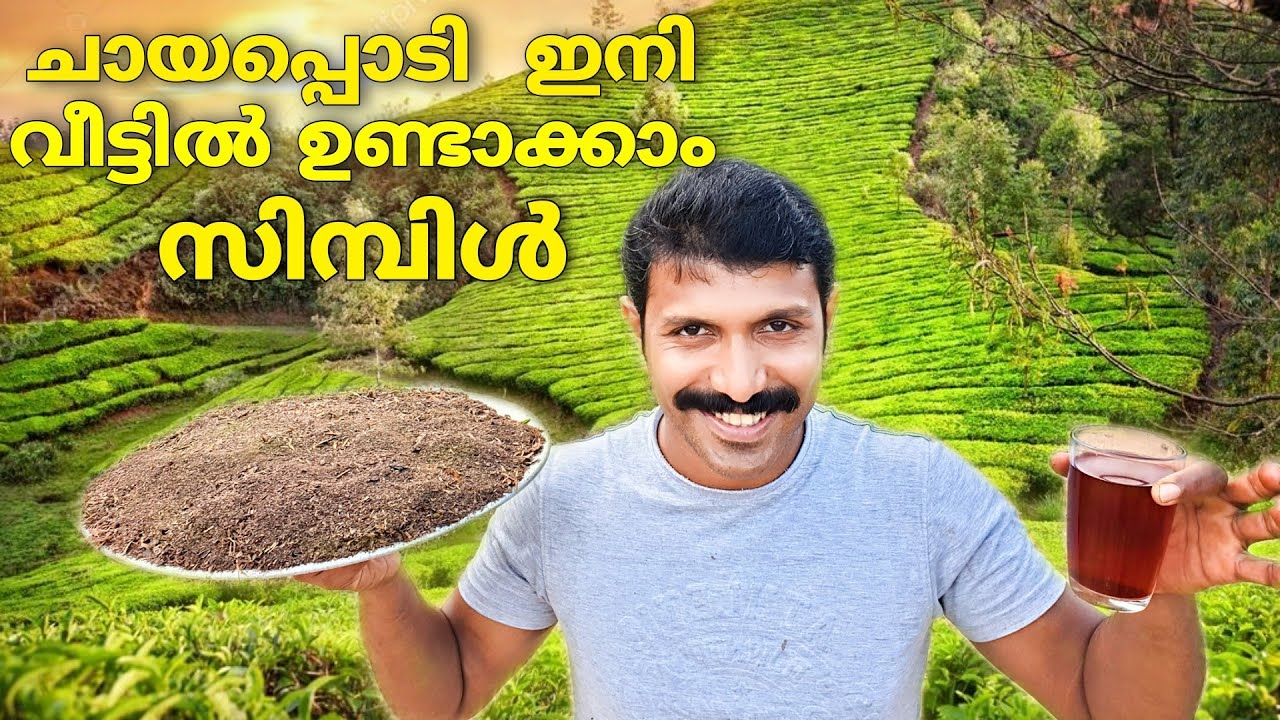Tea Powder Preparation at home/ How to make Organic Tea Powder in your home
