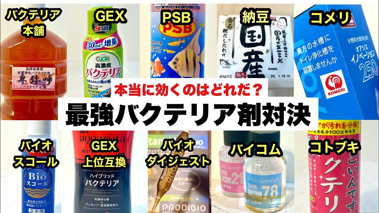 どれが本当に効くのかぜんぶ試してみた【禁断のバクテリア剤同時立ち上げ検証】
