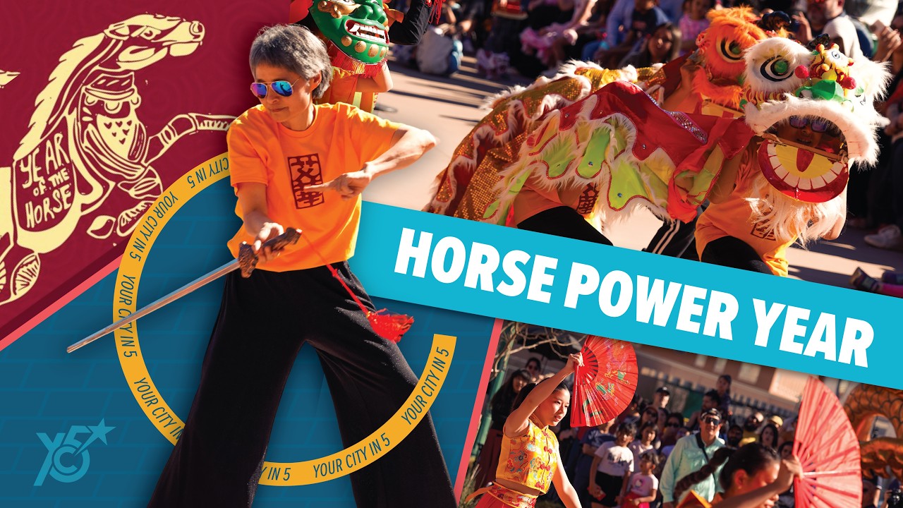 Your City in 5: Horse Power Year