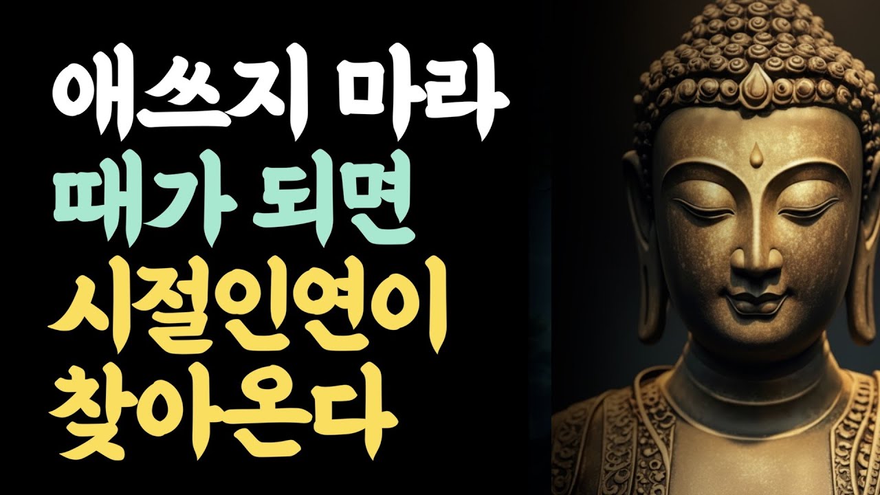 애쓰지마라 때가되면 시절인연이 찾아온다 | 때를 기다리는 지혜 |  안 되는 게 아니라 때가 안 된 것입니다 | 부처님 말씀