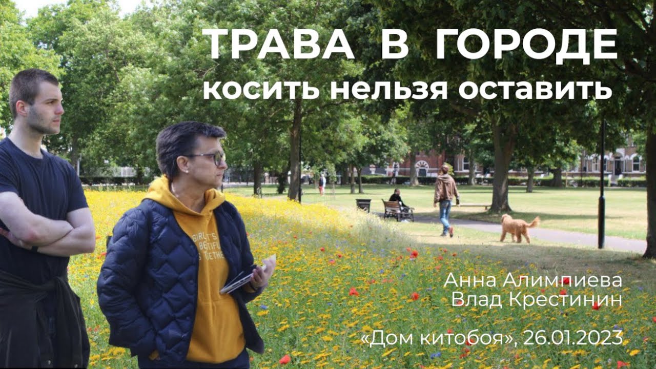 Трава в городе: косить нельзя оставить. Лекция Анны Алимпиевой и Влада Крестинина