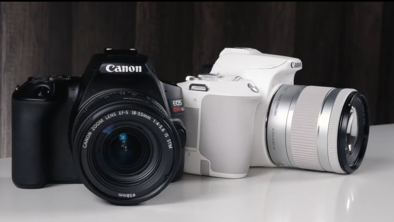 TOP 5 BEST DSLR CAMERA 2026 TO BUY ON AMAZON FOR PHOTOGRAPHY BEGINNER & PRO DIGITAL SLR