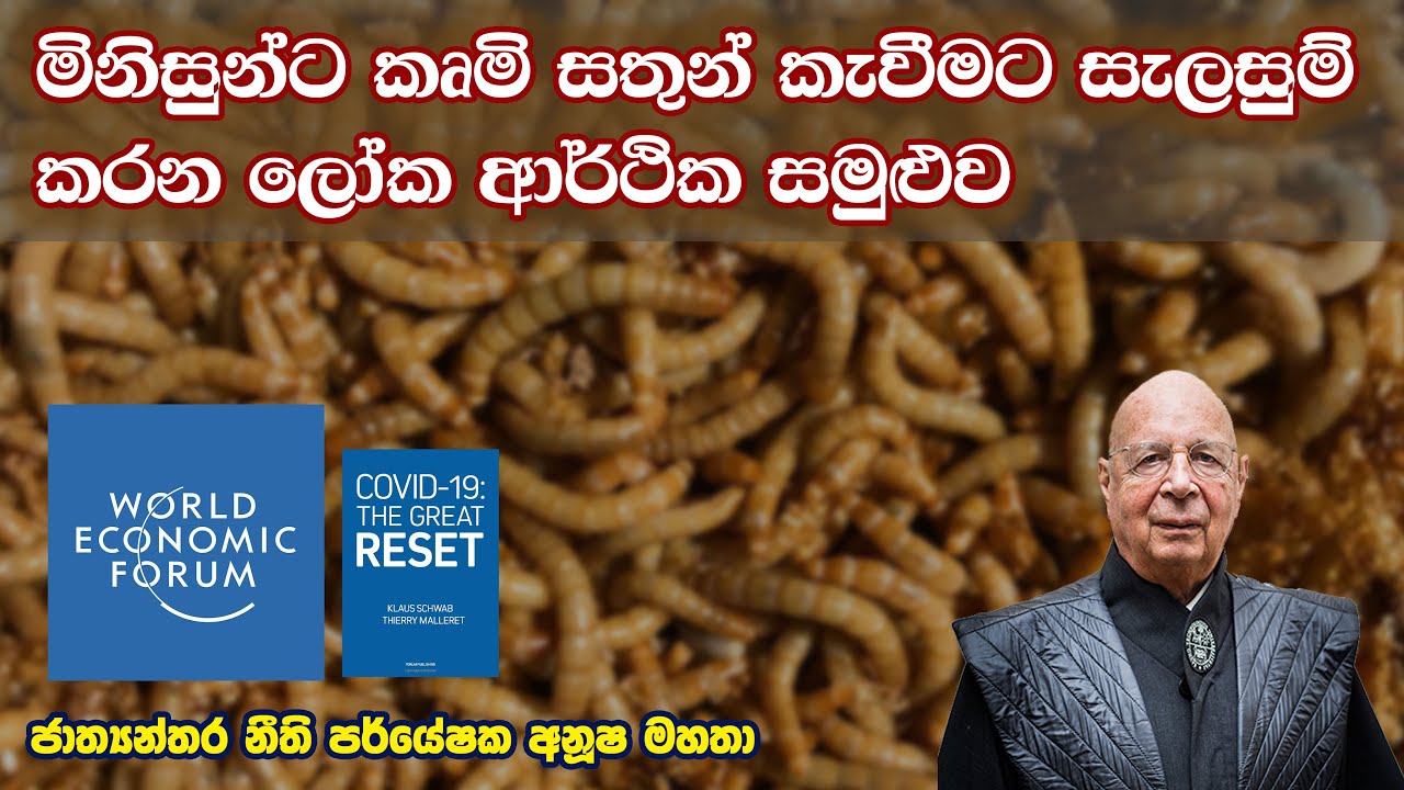 මිනිසුන්ට කෘමි සතුන් කැවීමට සැලසුම් කරන ලෝක ආර්ථික සමුළුව