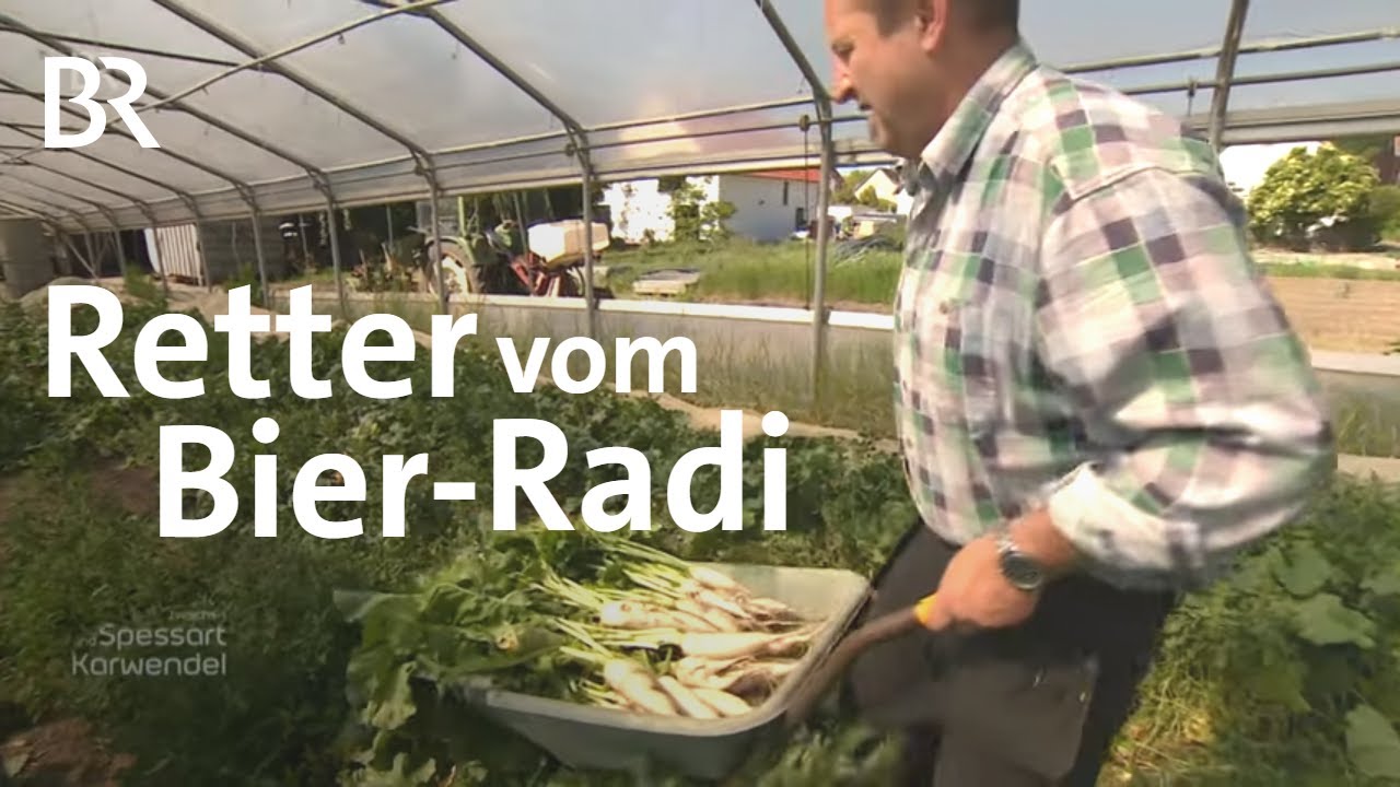 Brotzeit-Klassiker: Der letzte Radi aus Regensburg | Zwischen Spessart und Karwendel | BR