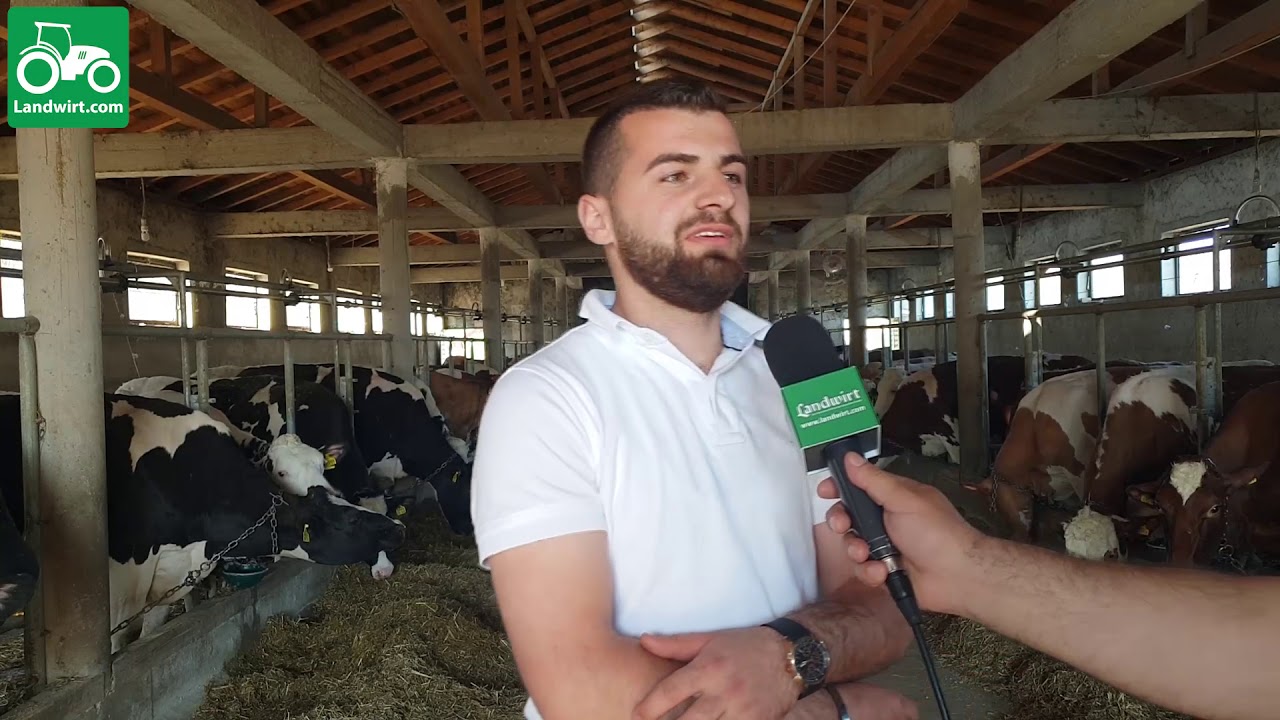Ferma për prodhimin e qumështit në fshatin Drenoc të komunës së Klinës