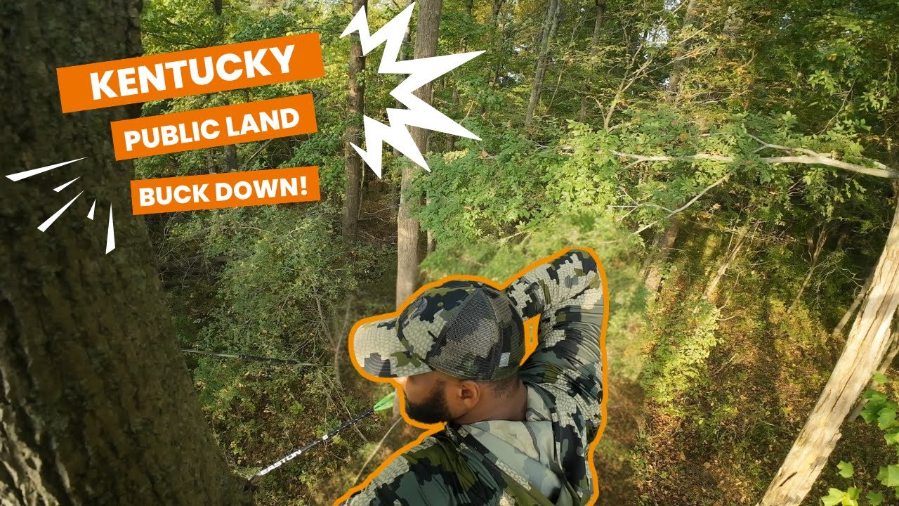 2025 KENTUCKY PUBLIC LAND HUNT BUCK DOWN!