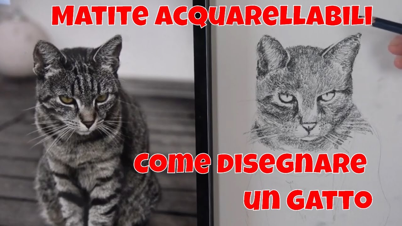 ✏️ Matite Colorate Acquarellabili - Come disegnare un gatto - Video con dispensa! 📹📔