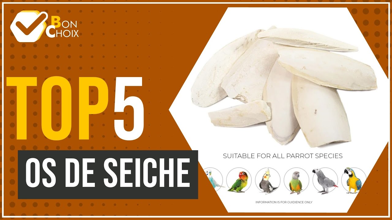 Os de seiche - Top 5 - (BonChoix)