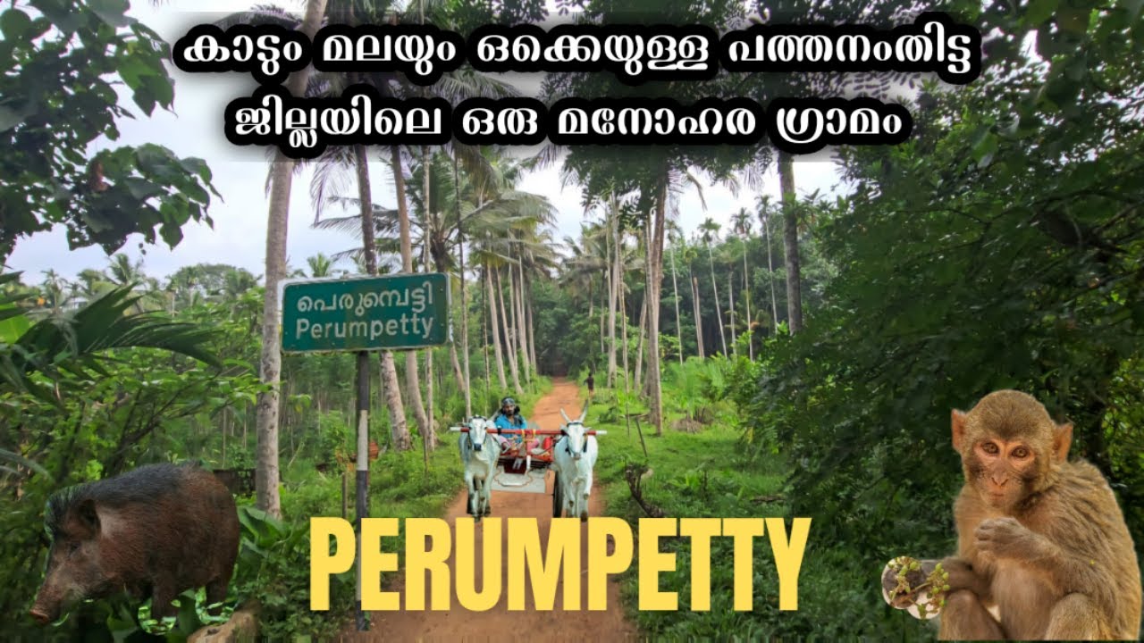 EP-01 നാട്ടുവിശേഷങ്ങൾ |Perumpetty |പെരുമ്പെട്ടി |Pathanamthitta |എന്റെ സ്വന്തം നാട്