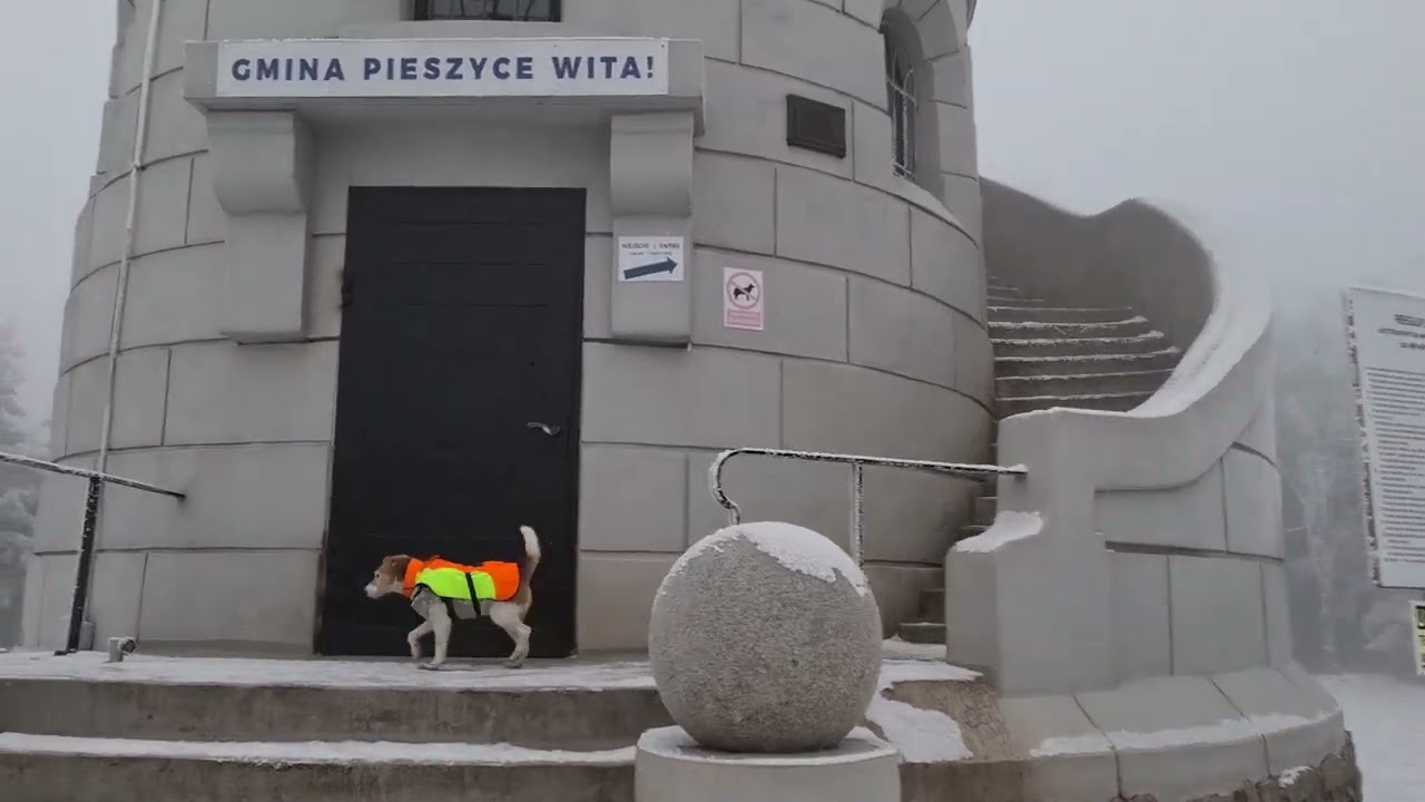 20.11.2025 Kamionki - Wielka Sowa 