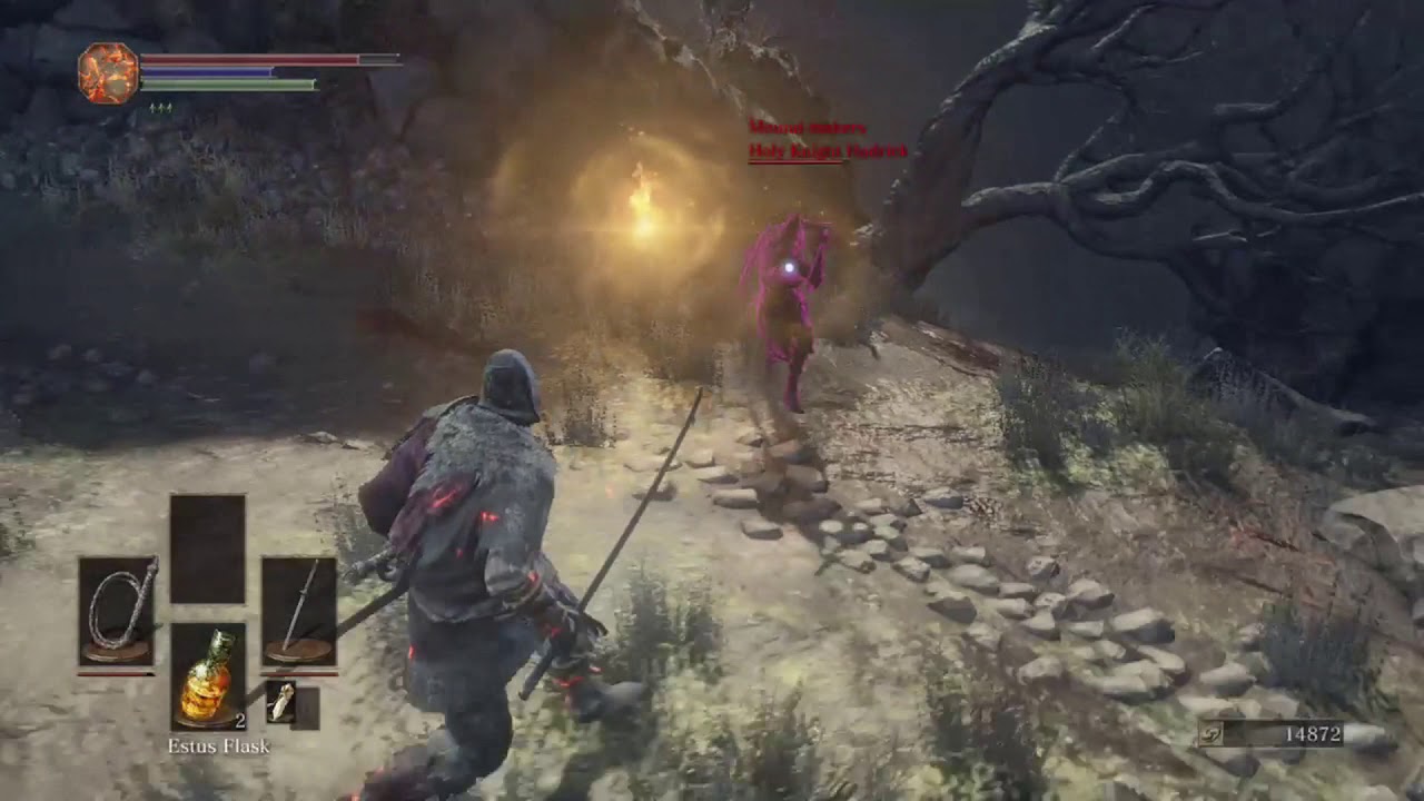 The Defeat of Mad Dark Spirit Holy Knight Hodrick